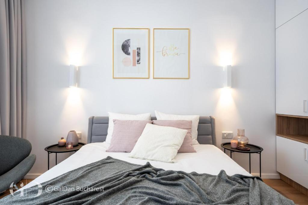 The Loft Luxury Apartments-Near The Park In The City Center 布加勒斯特 外观 照片
